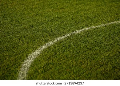 绿茵场上的法甲足球 - 开云体育